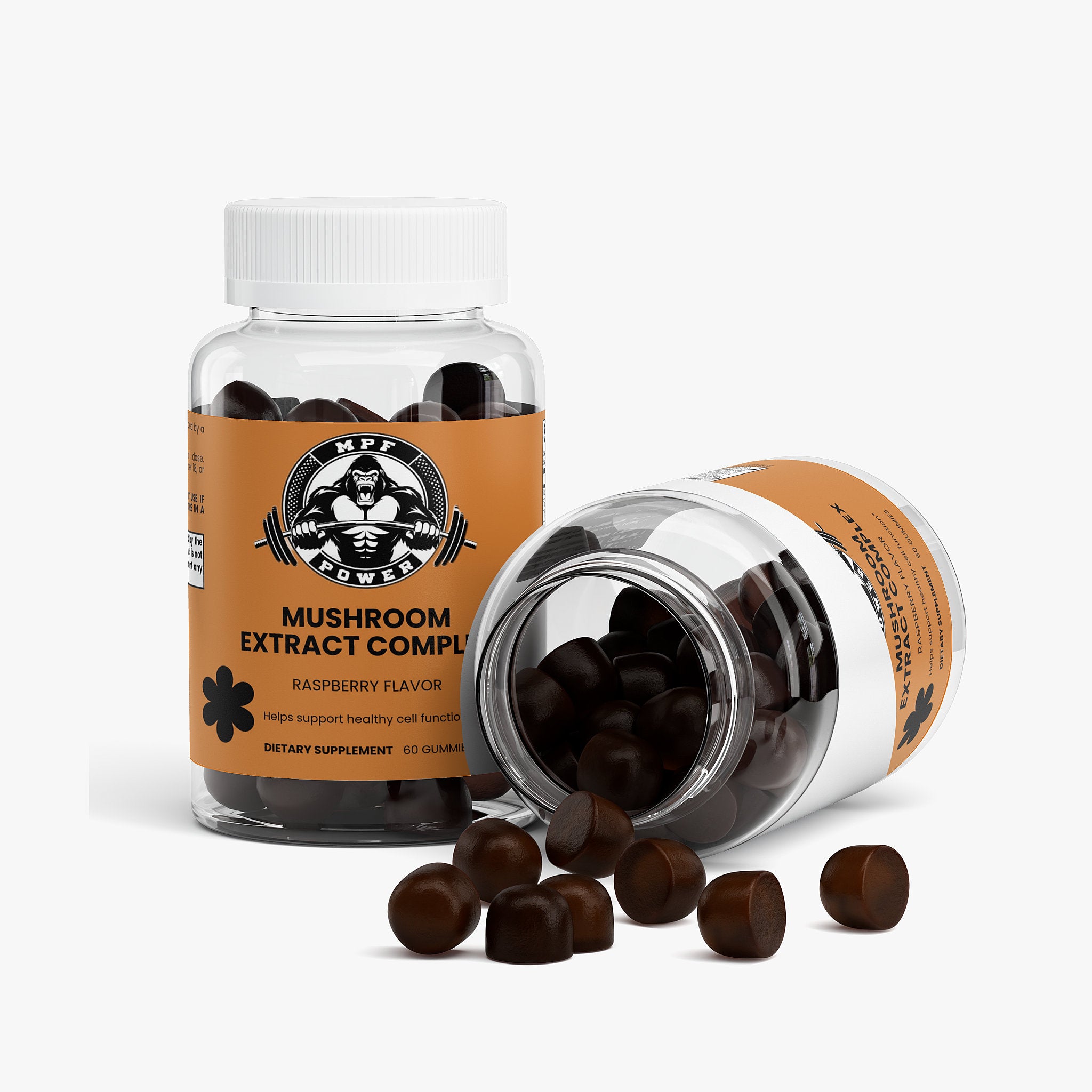 Mushroom Extract Complex